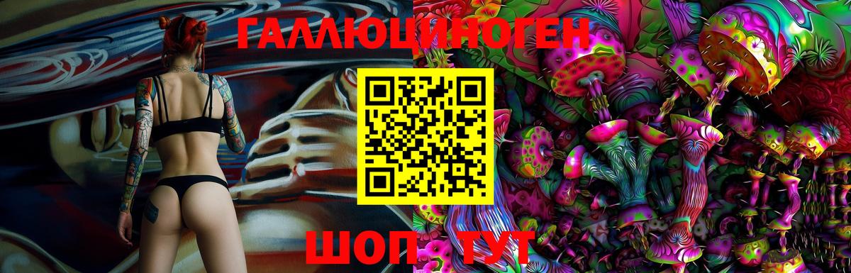 Галлюциногенные грибы Psilocybe Петрозаводск